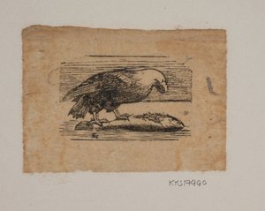 kotka tekijältä Joakim Frederik Skovgaard