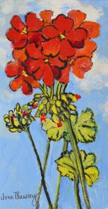 Geranium Spray, 2017, (akryyli) tekijältä Joan Thewsey