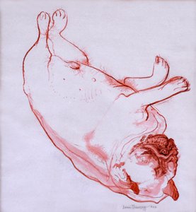 Hogarth Sleeping, 2005, (muste märällä paperilla) tekijältä Joan Thewsey