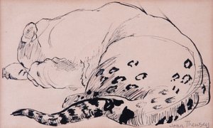 Luonnos,Leopardi,Lontoon eläintarha 2005, (kynä ja muste) tekijältä Joan Thewsey
