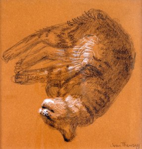 Sleeping Tabby Cat,2005,(grafiitti ja valkoinen pastelli) tekijältä Joan Thewsey