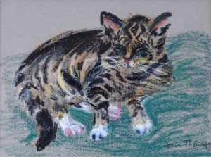 Tabby-kissa,2005 (pastelli)