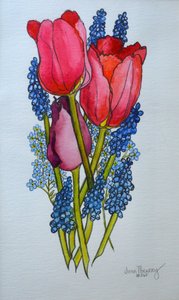 Tulppaanit, Muscari ja unohdat, 2002, tekijältä Joan Thewsey