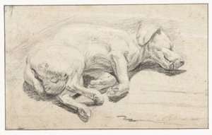 Makaa koira, nukkumassa tekijältä Joannes Fijt (attributed to)