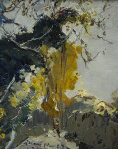 Baum tekijältä Joaquim Mir i Trinxet