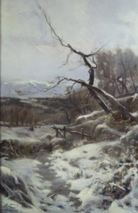 Talvi tekijältä Joaquim Mir i Trinxet