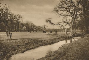 Missä Beverley Brook tuulee Richmondin kuninkaallisen metsästyspuiston läpi, vuodelta 1935.