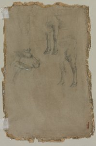 Studies of a Bull, 1864. tekijältä Johan Barthold Jongkind