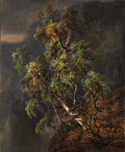 Koivu myrskyssä tekijältä Johan Christian Dahl