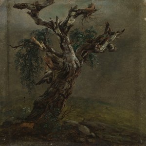  tekijältä Johan Christian Dahl