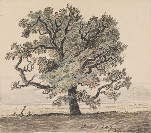 Mäntyjä tasangolla tekijältä Johan Christian Dahl
