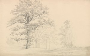 Lehtipuut tekijältä Johan Christian Dahl