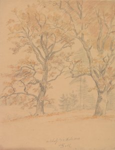  tekijältä Johan Christian Dahl