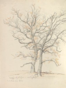 Kaksi tammea tekijältä Johan Christian Dahl