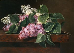 Lila reunalla, tekijältä Johan Laurents Jensen