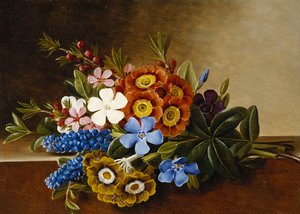 Periwinkle, Auricula ja viinirypälehyasintit marmorireunuksella, 1882 tekijältä Johan Laurents Jensen