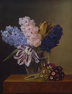 Tulppaanit, hyasintit ja violetit