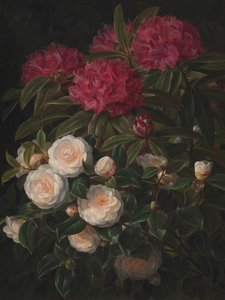 Kameliat ja alppiruusut, Johan Laurentz Jensen