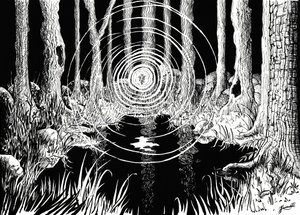 Mystisen metsän aallot tekijältä Johan Liewendahl