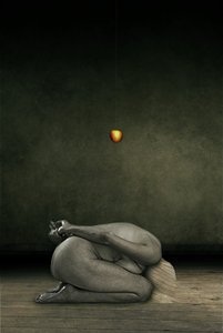 Hide my self, 2013 (manipulació fotogràfica) finlandès tekijältä Johan Lilja
