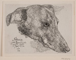 Tanskan kieli: Hundehoved, Snip