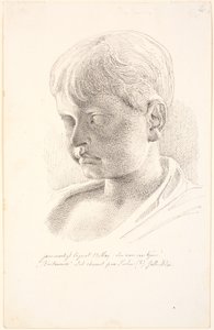 Cap de Britannicus. Perfil de 3/4 contra l