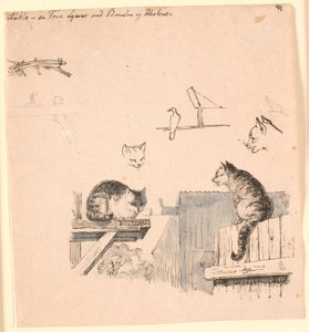 Kaksi kissaa. F.o. tutkimuksia kissan päistä, linnusta, kissan korvasta ja palkin työstä. Kuvitus Kaalundin "Fables for Children" -kirjaan. Katso kommentti arkkiluettelosta. tekijältä Johan Thomas Lundbye