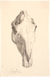 Deer Cranium tekijältä Johan Thomas Lundbye