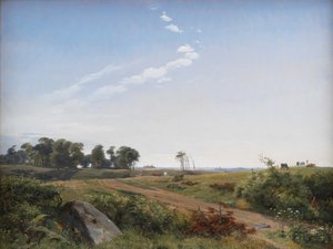 Seelannin maisema. Open Country Pohjois-Seelannissa tekijältä Johan Thomas Lundbye