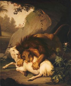 Leijona hyökkäämässä vuohen kimppuun, 1785
