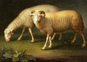 Oinas ja lammas (öljy kankaalle)