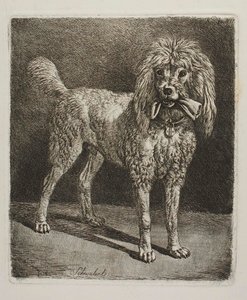  tekijältä Johann Adam Klein