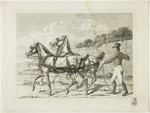 Ratsastuskoulu ja hevoset tekijältä Johann Adolph Darnstedt