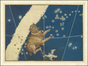 Canis Major - Johann Bayer tekijältä Johann Bayer