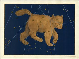 Johann Bayer, Ursa Major tekijältä Johann Bayer