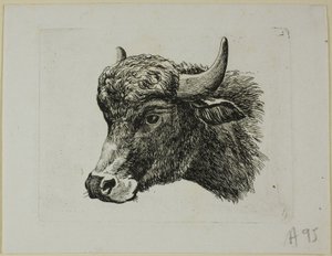 Buffalo-pää vasemmalle, Die Zweite Thier Folge tekijältä Johann Christian Reinhart