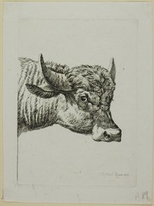 Buffalon päällikkö, Die Zweite Thiernahmesta tekijältä Johann Christian Reinhart
