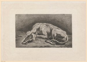 Nukkuva vinttikoira tekijältä Johann Christian Reinhart