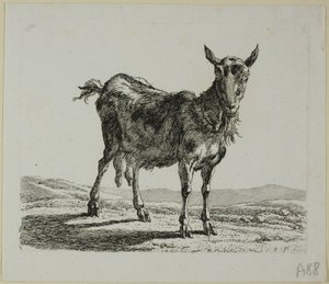 Standing Goat, Die Zweite Thiernahme tekijältä Johann Christian Reinhart