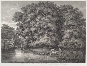 Mill at the Great Oaks tekijältä Johann Christian Reinhart