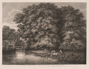Mill at the Great Oaks tekijältä Johann Christian Reinhart