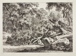 Metsämaisema, jossa on katkennut tammi tekijältä Johann Christian Reinhart