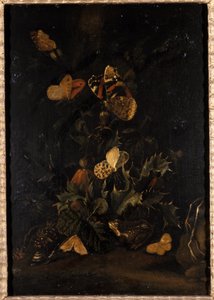 Kukat perhosilla ja rupikonnalla (öljy tammipuulle) tekijältä Johann Christian Thomas Winck