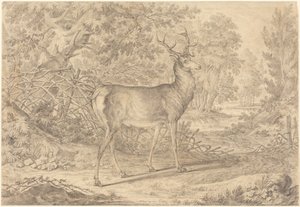  tekijältä Johann Elias Ridinger