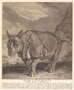 Sarvikuono tekijältä Johann Elias Ridinger