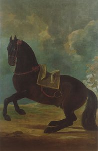 Bay Stallion espanjalaisella satulalla