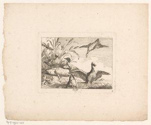 Maisema kuuden ankan kanssa Linnut maisemissa (sarjan nimi) tekijältä Johann Georg Hertel (I) (possibly)
