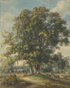 Ja Arcadia I:ssä 1790-1800.