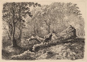 Mouldering puun runko tekijältä Johann Georg von Dillis