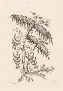 Lehdet sarvimuotoiset Fleures Baroque (sarjan nimi)